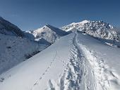 Salita invernale da Nona di Vilminore al Passo della Manina e al Monte Sasna il 17 dicembre 2009 - FOTOGALLERY